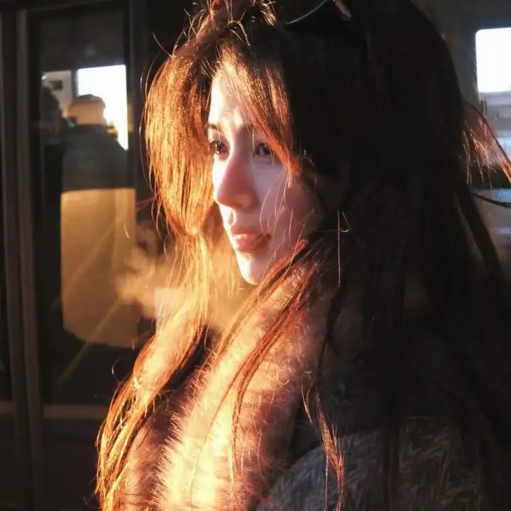 《异形大战铁血战士》海报